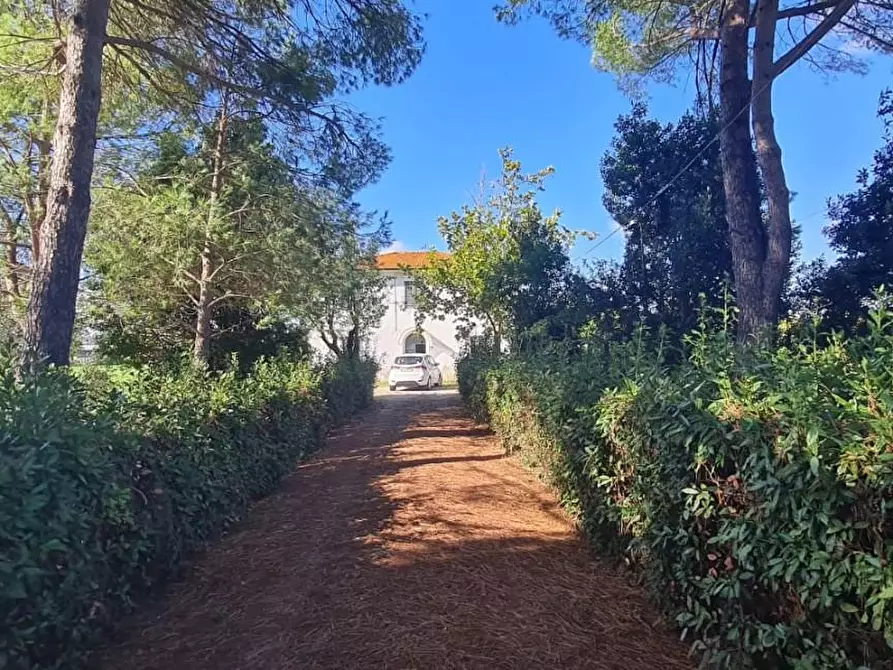 Immagine 29 di Casa indipendente in vendita  a Terricciola