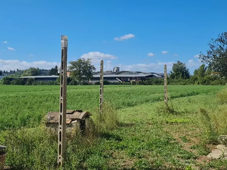 Immagine 23 di Casa indipendente in vendita  a Terricciola