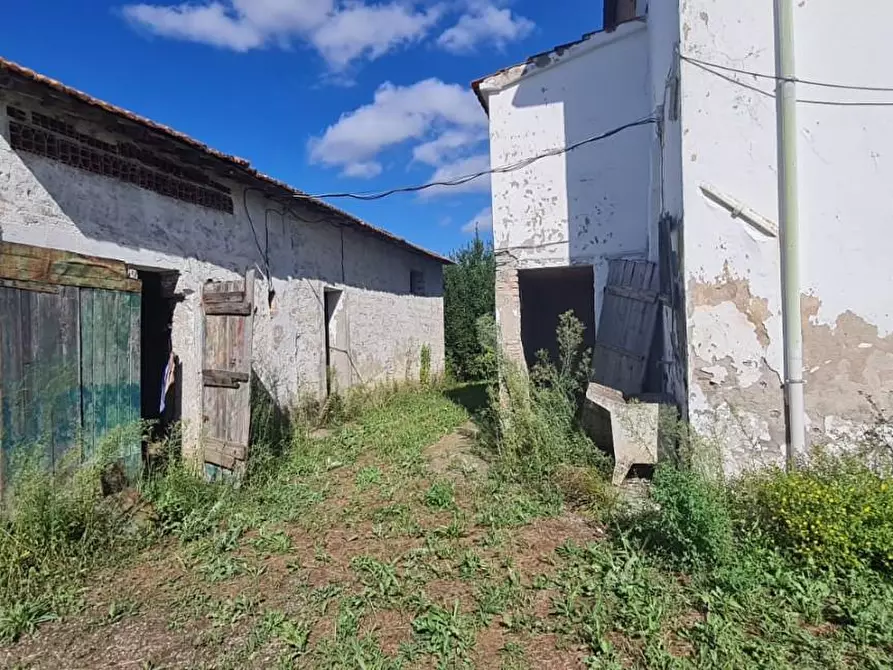 Immagine 24 di Casa indipendente in vendita  a Terricciola