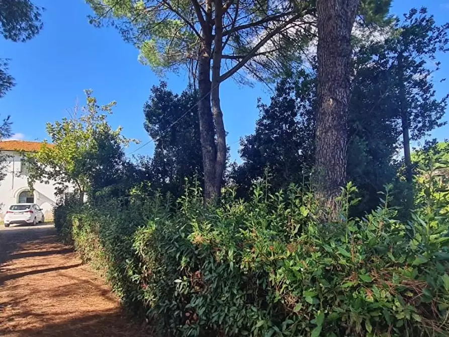 Immagine 25 di Casa indipendente in vendita  a Terricciola