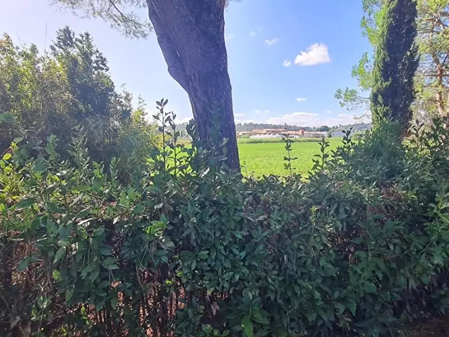 Immagine 21 di Casa indipendente in vendita  a Terricciola