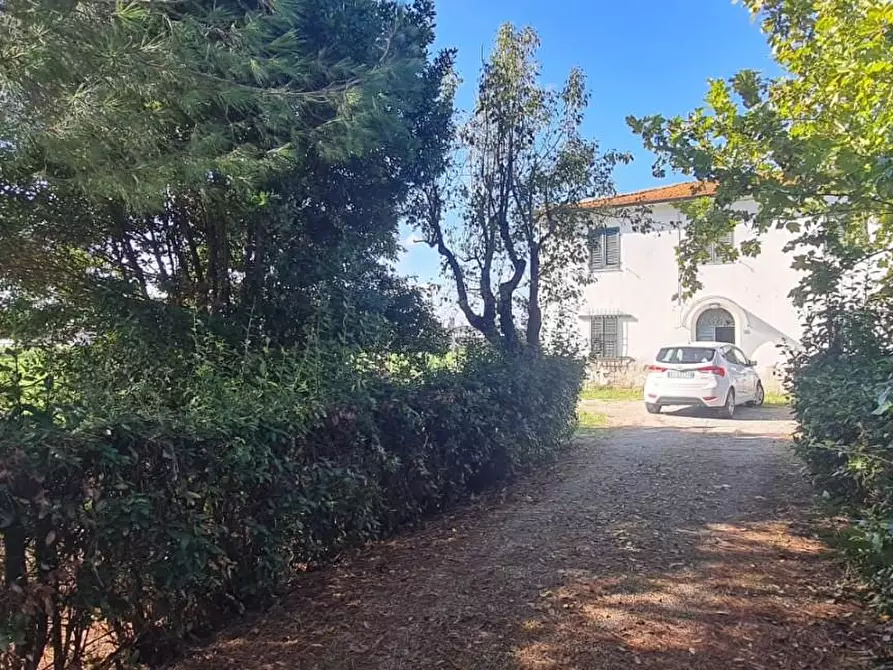 Immagine 22 di Casa indipendente in vendita  a Terricciola