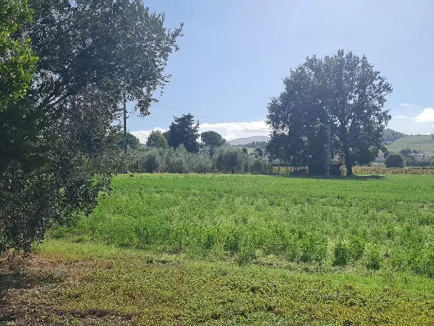 Immagine 30 di Casa indipendente in vendita  a Terricciola