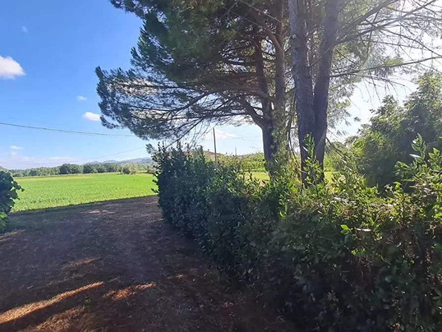 Immagine 27 di Casa indipendente in vendita  a Terricciola