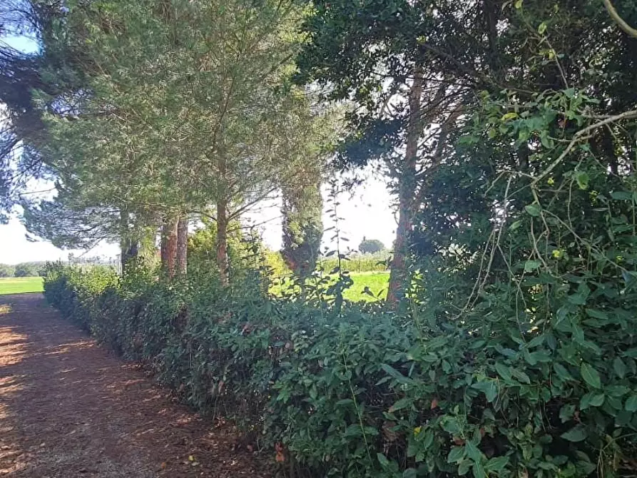 Immagine 26 di Casa indipendente in vendita  a Terricciola