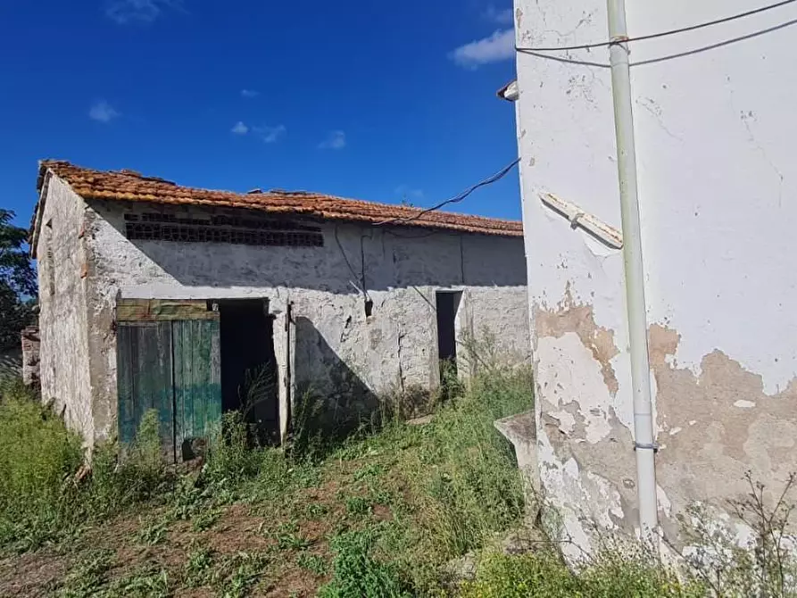 Immagine 20 di Casa indipendente in vendita  a Terricciola