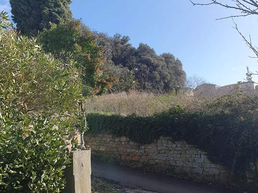 Immagine 28 di Appartamento in vendita  a Volterra