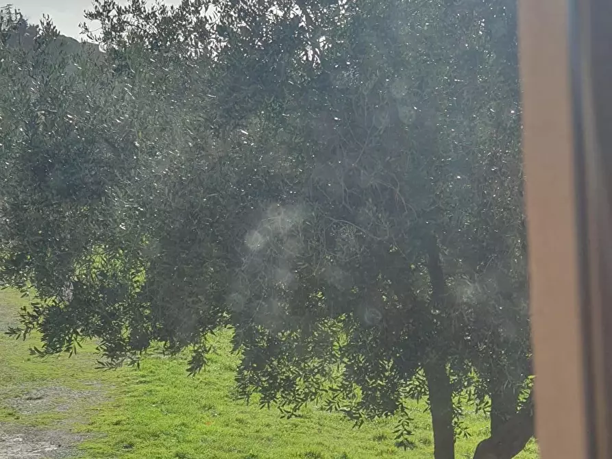 Immagine 33 di Appartamento in vendita  a Volterra