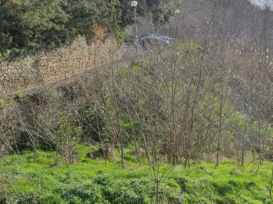 Immagine 36 di Appartamento in vendita  a Volterra