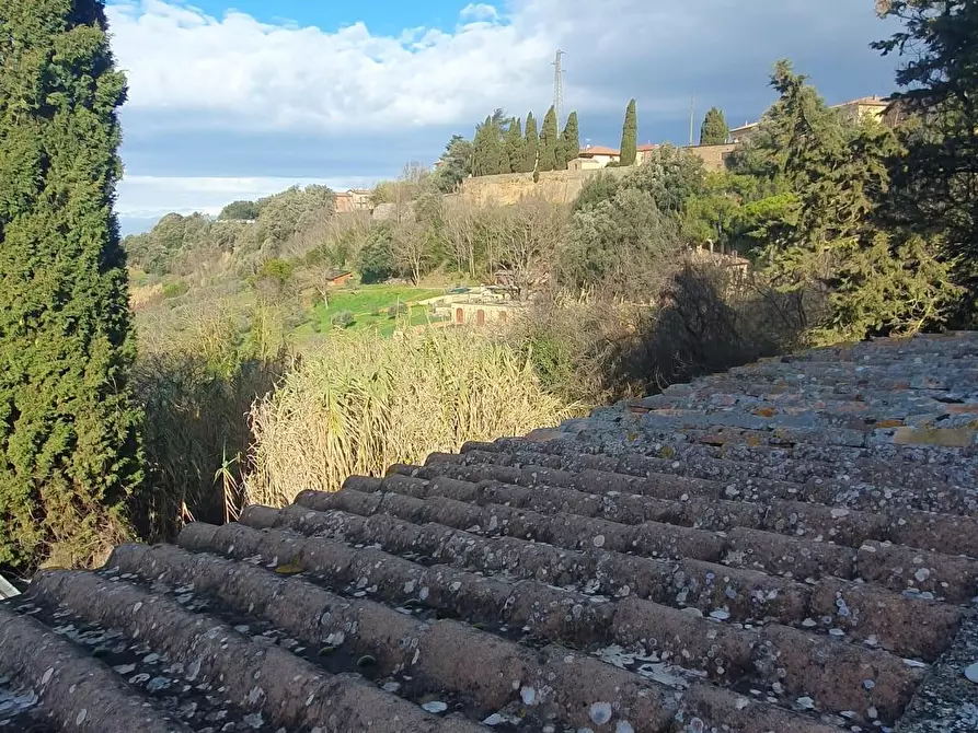 Immagine 31 di Appartamento in vendita  a Volterra