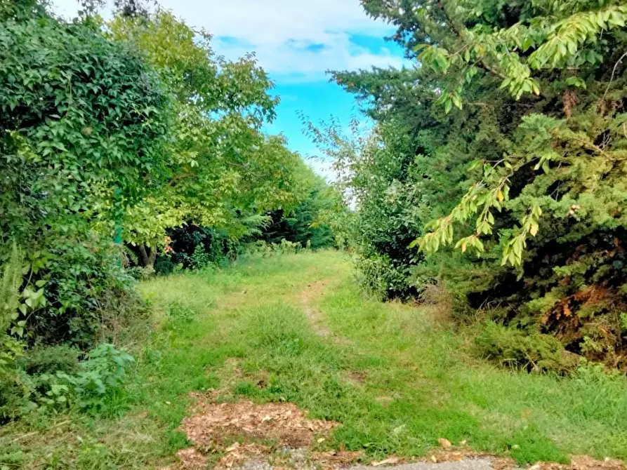 Immagine 37 di Appartamento in vendita  a Volterra