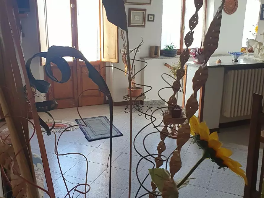 Immagine 4 di Appartamento in vendita  a Volterra