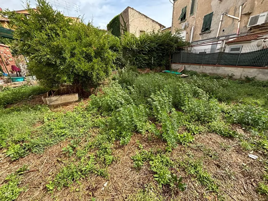 Immagine 19 di Terratetto in vendita  a Capraia E Limite