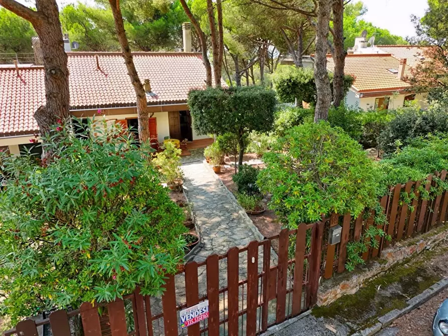 Immagine 3 di Villa in vendita  a Livorno