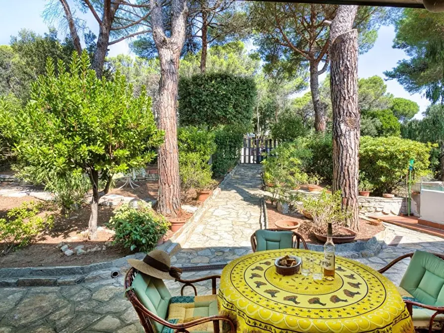 Immagine 1 di Villa in vendita  a Livorno