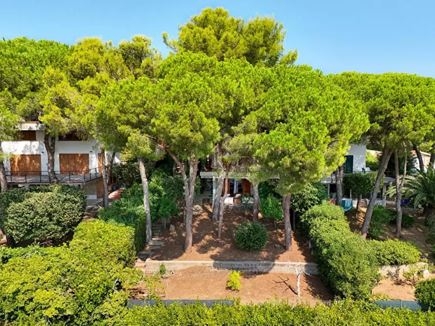 Immagine 23 di Villa in vendita  a Livorno