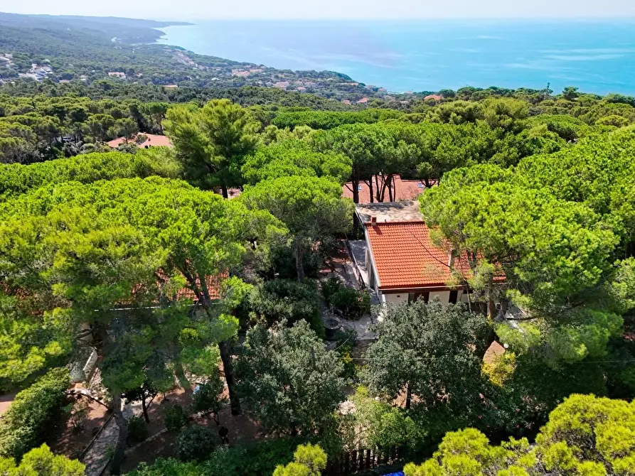 Immagine 9 di Villa in vendita  a Livorno