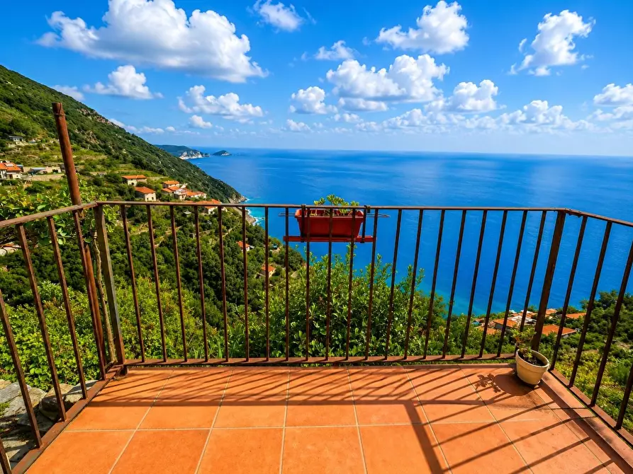 Immagine 6 di Casa semindipendente in vendita  a La Spezia