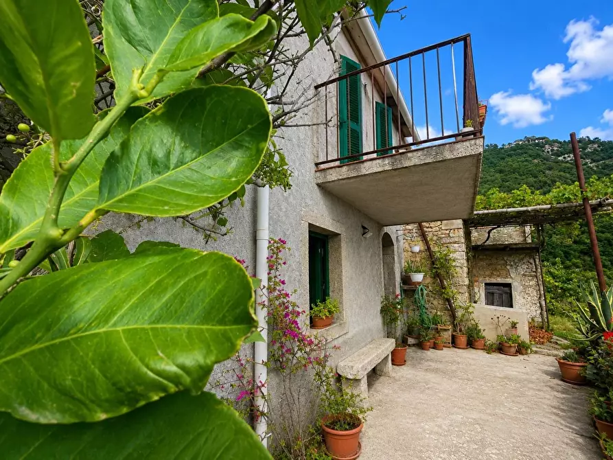 Immagine 9 di Casa semindipendente in vendita  a La Spezia