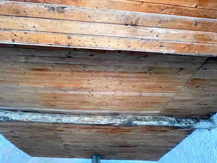 Immagine 21 di Casa semindipendente in vendita  a La Spezia