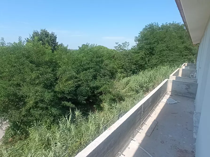 Immagine 5 di Terratetto in vendita  a Montopoli In Val D'arno