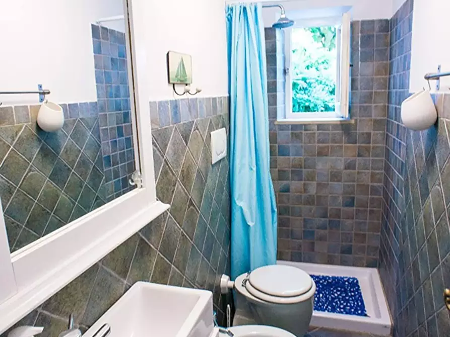 Immagine 8 di Casa indipendente in affitto  a Forte Dei Marmi