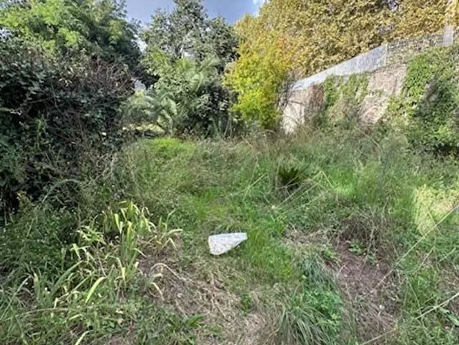 Immagine 36 di Casa indipendente in vendita  a Massa