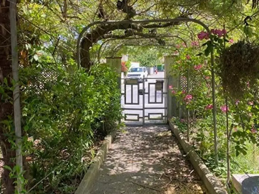 Immagine 25 di Appartamento in vendita  a Calcinaia