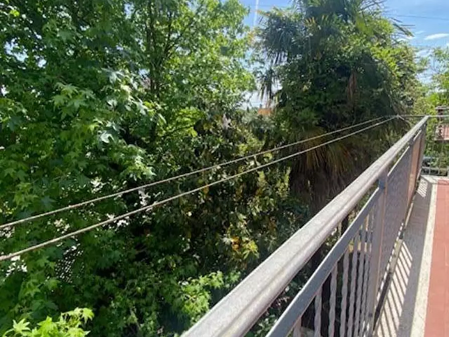 Immagine 10 di Appartamento in vendita  a Calcinaia