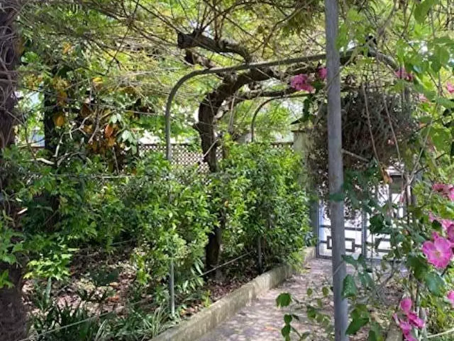 Immagine 27 di Appartamento in vendita  a Calcinaia