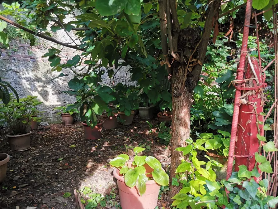 Immagine 51 di Appartamento in vendita  a Certaldo