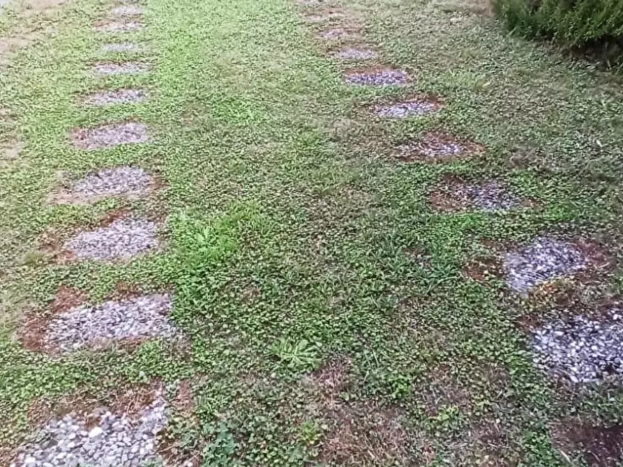 Immagine 15 di Casa bifamiliare in vendita  a Lucca