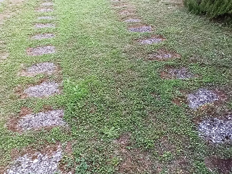 Immagine 29 di Casa bifamiliare in vendita  a Lucca