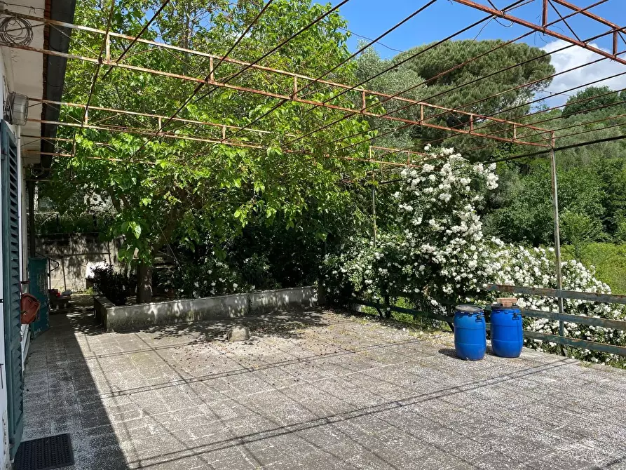 Immagine 2 di Casa semindipendente in vendita  a Vicopisano