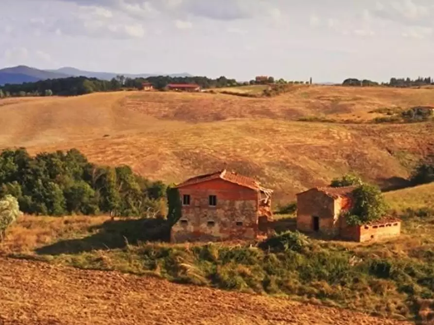 Immagine 5 di Casa colonica in vendita  a Asciano