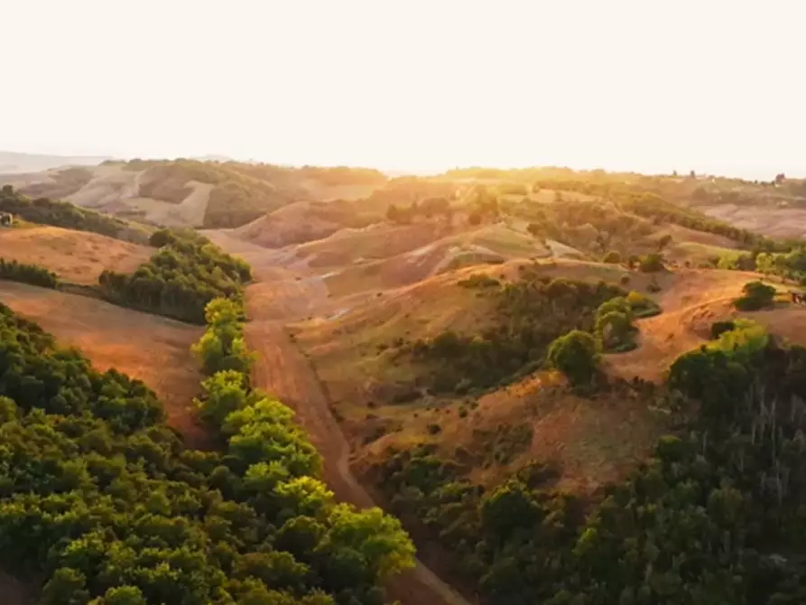 Immagine 3 di Casa colonica in vendita  a Asciano