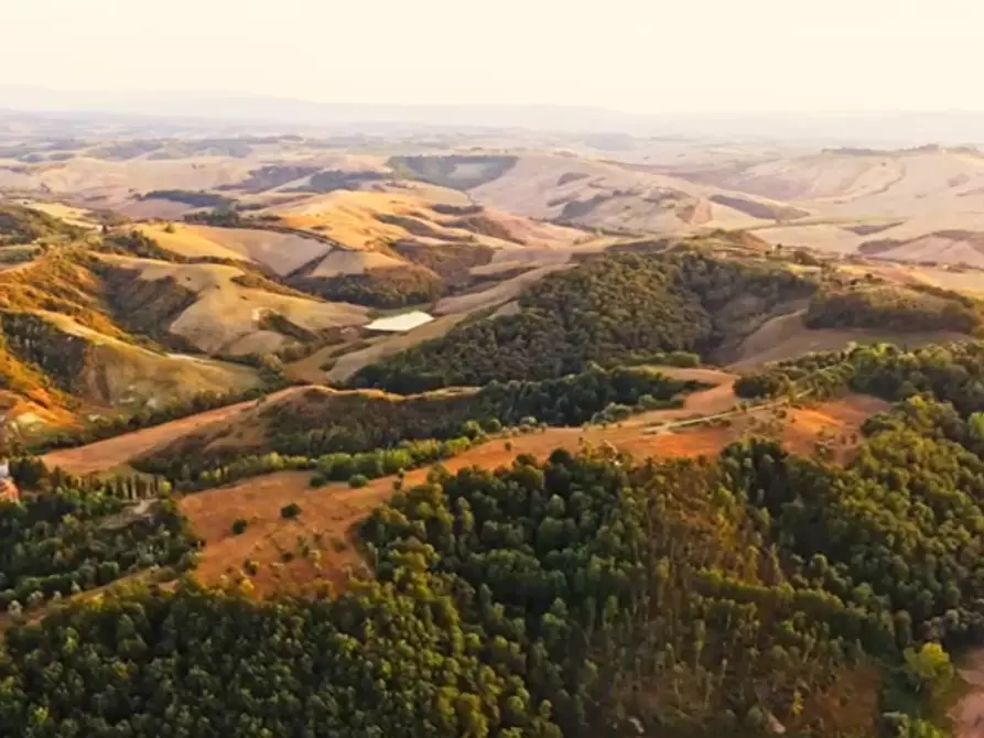 Immagine 4 di Casa colonica in vendita  a Asciano