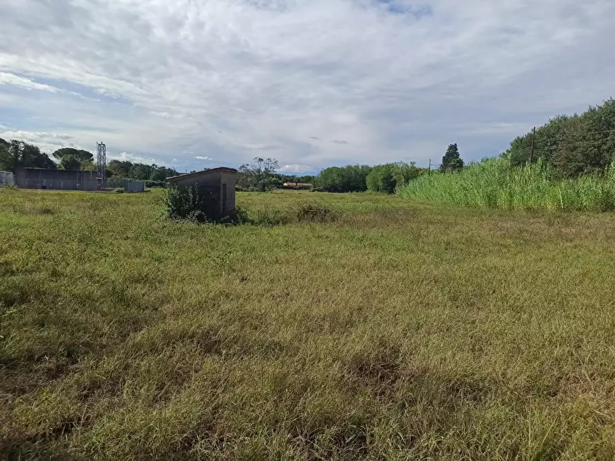 Immagine 2 di Rustico / casale in vendita  a Altopascio