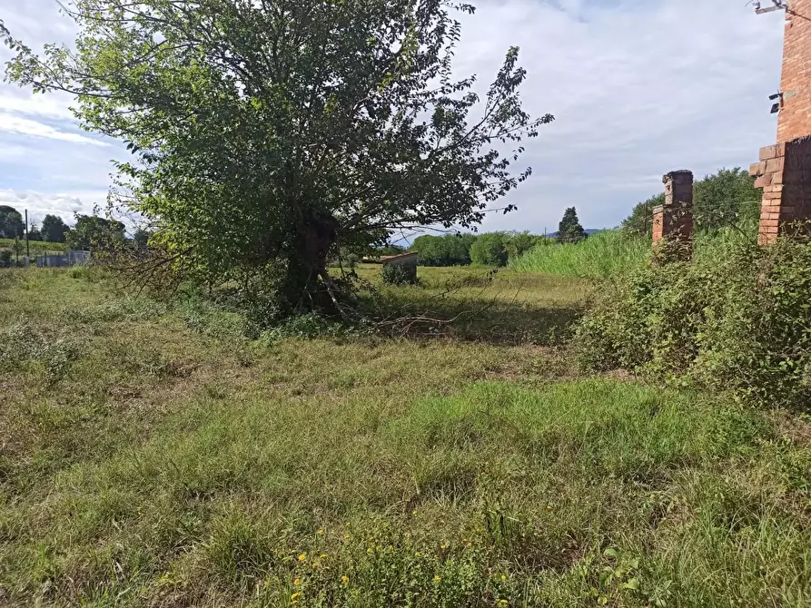 Immagine 6 di Rustico / casale in vendita  a Altopascio