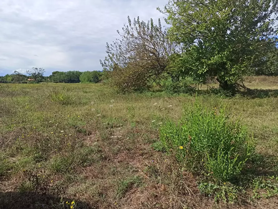 Immagine 7 di Rustico / casale in vendita  a Altopascio