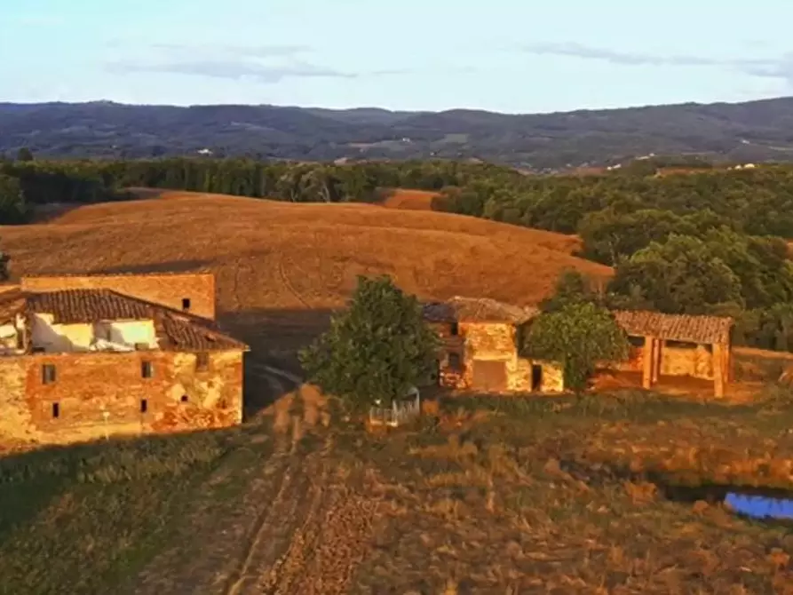 Immagine 20 di Casa colonica in vendita  a Asciano