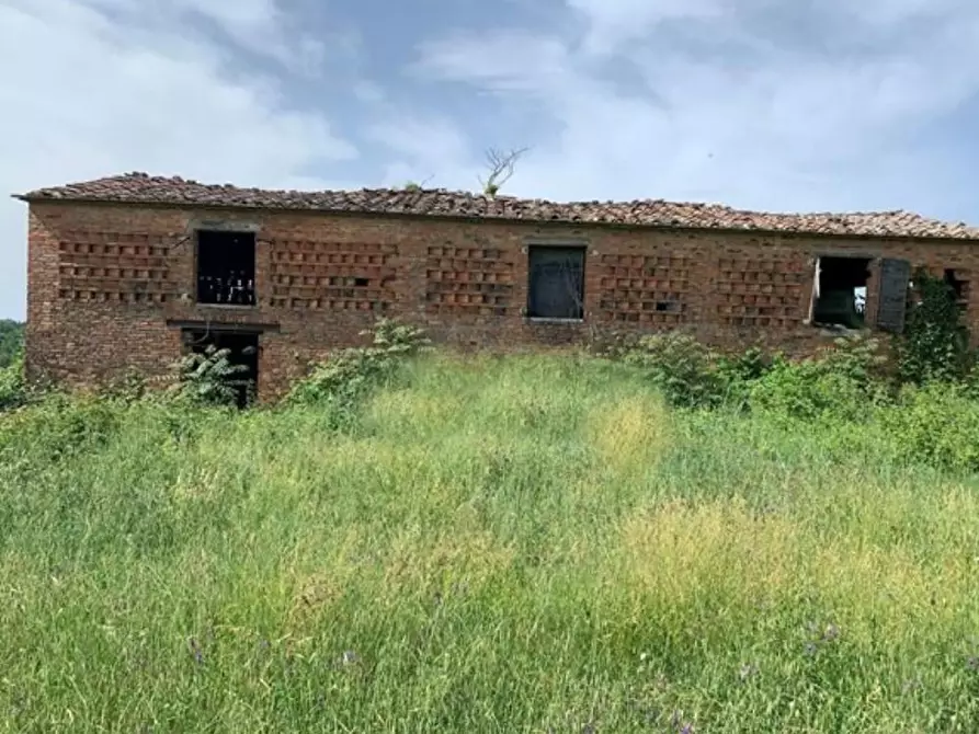 Immagine 7 di Casa colonica in vendita  a Asciano