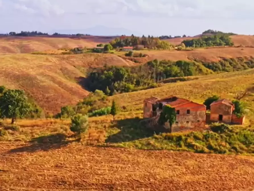 Immagine 17 di Casa colonica in vendita  a Asciano