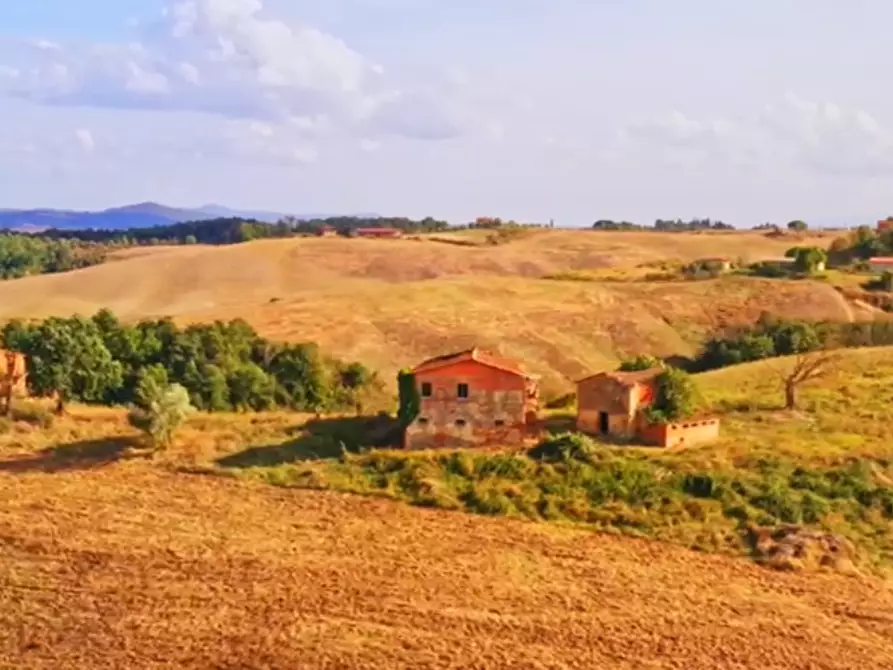Immagine 19 di Casa colonica in vendita  a Asciano