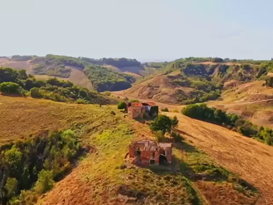 Immagine 18 di Casa colonica in vendita  a Asciano