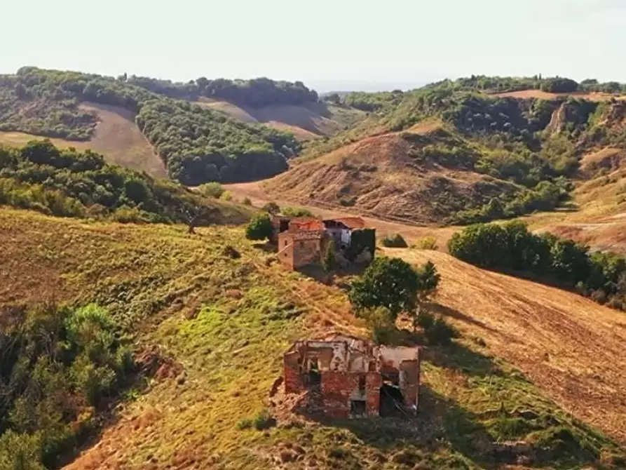 Immagine 14 di Casa colonica in vendita  a Asciano