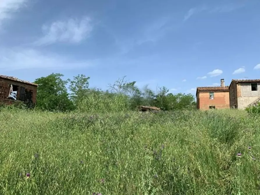 Immagine 8 di Casa colonica in vendita  a Asciano