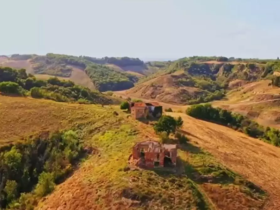 Immagine 22 di Casa colonica in vendita  a Asciano