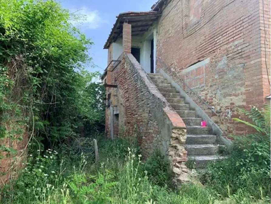 Immagine 6 di Casa colonica in vendita  a Asciano