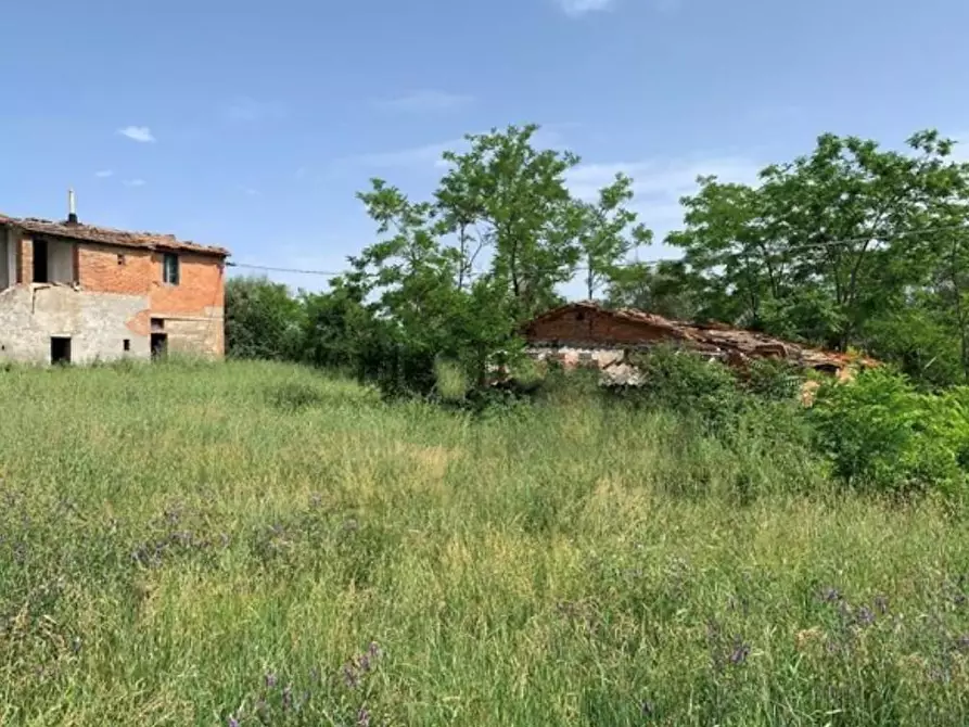 Immagine 5 di Casa colonica in vendita  a Asciano